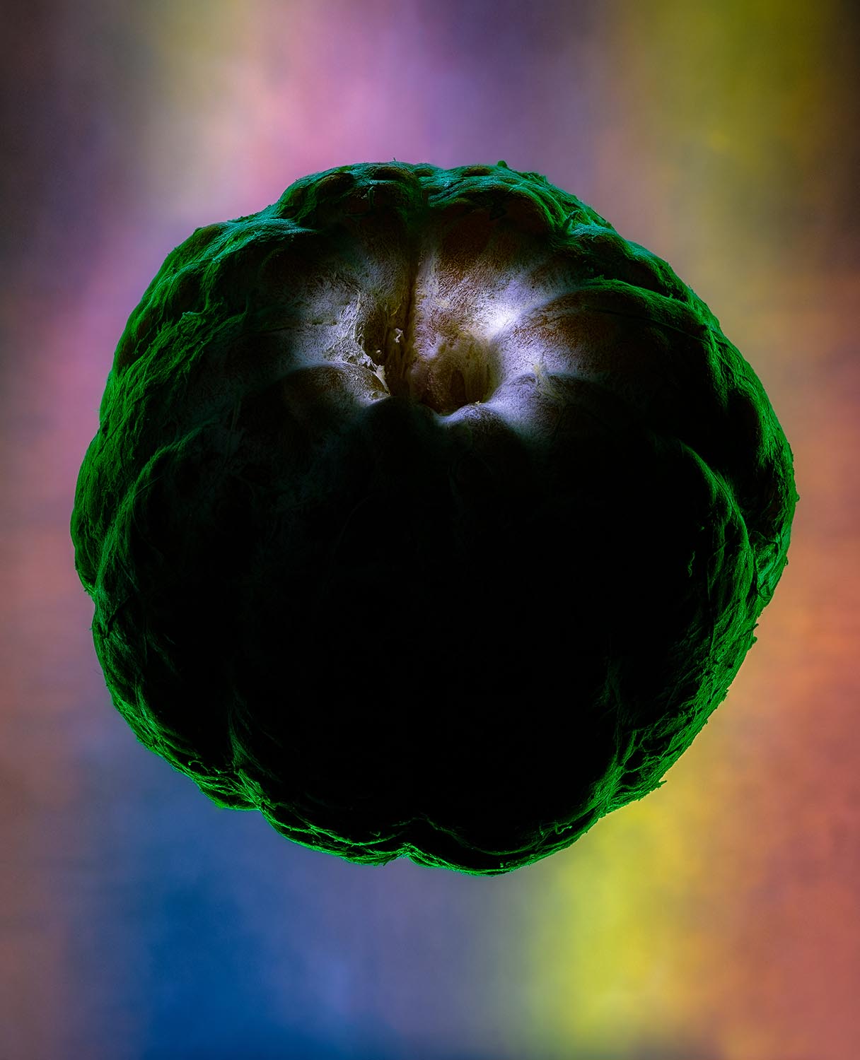 2023-01-16-01.29.22 ZS PMax-Edit-Edit-Edit