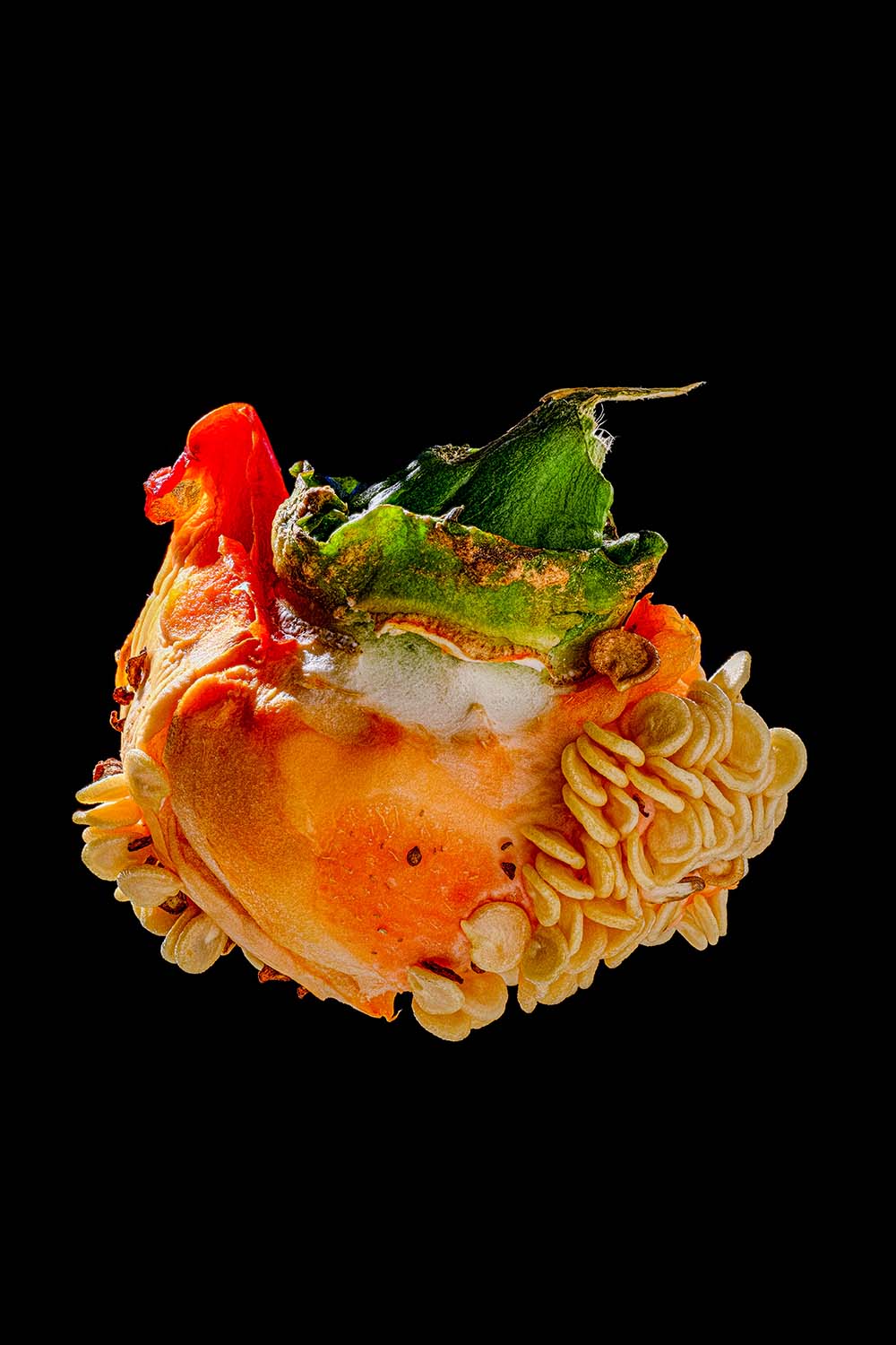 2023-01-17-03.47.46 ZS PMax-Edit-2