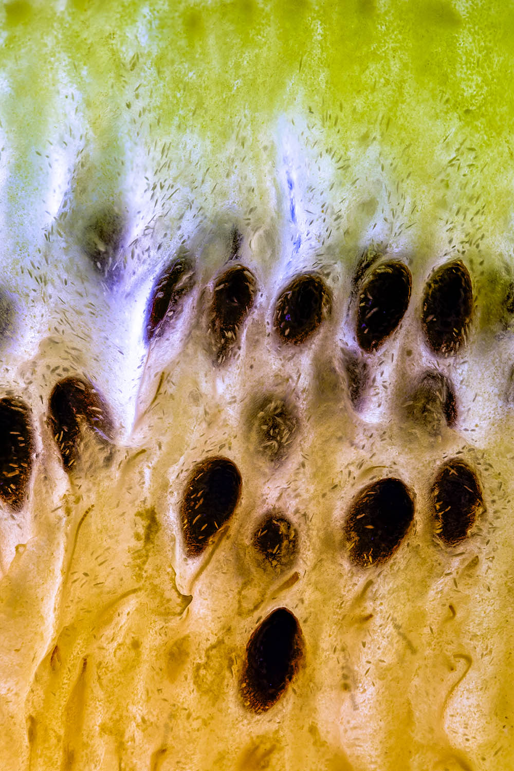 2023-01-18-03.44.08 ZS PMax-Edit