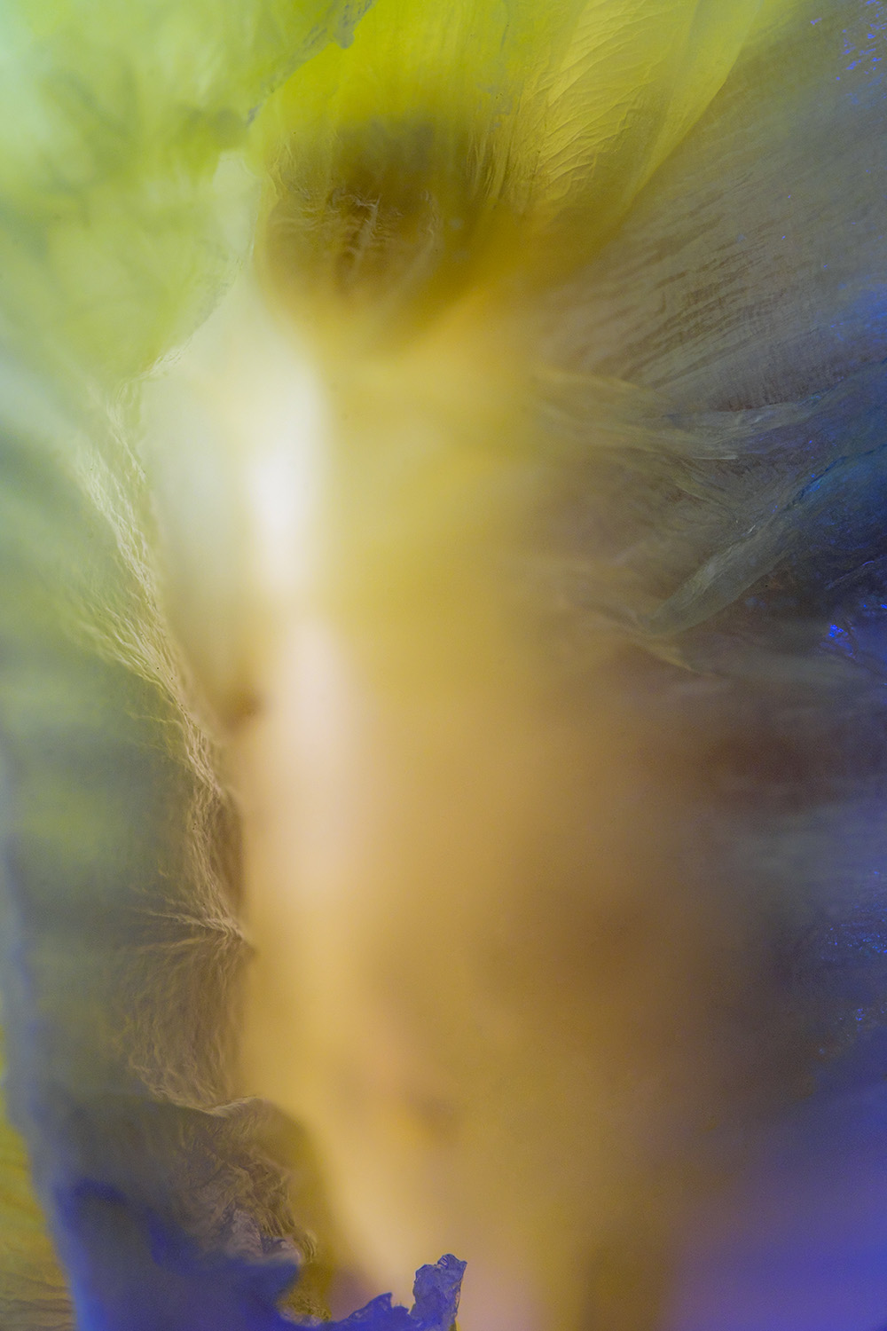 2023-01-18-12.13.14 ZS DMap-Edit